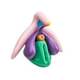 [MO CLIT] Klitoris modell